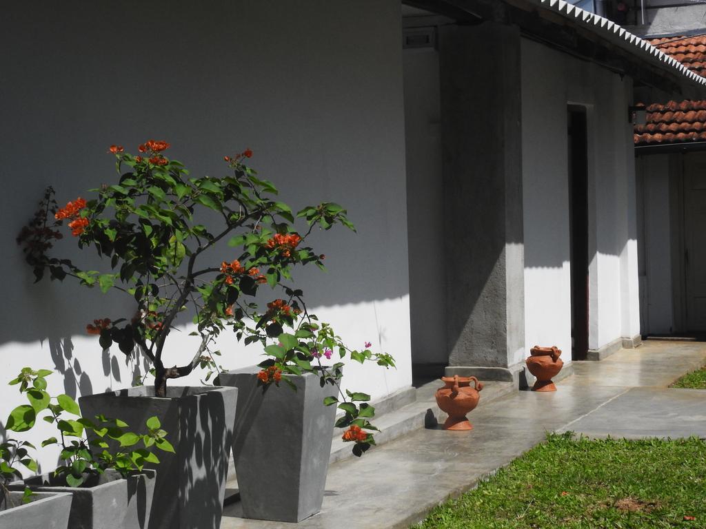 Wattarantanne Homestay Κάντι Εξωτερικό φωτογραφία